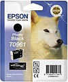  Epson StPhoto R2880 photo black