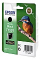  Epson StPhoto R2000 Photo Black